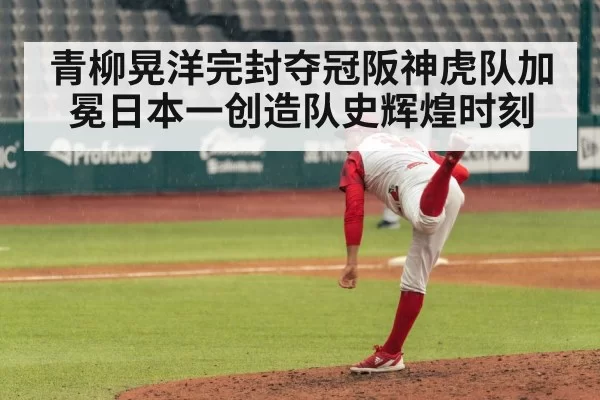 青柳晃洋完封夺冠阪神虎队加冕日本一创造队史辉煌时刻